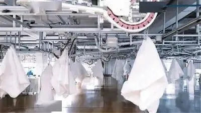 樂爾馨家紡工廠在哪里？揭秘其背后的故事與文化